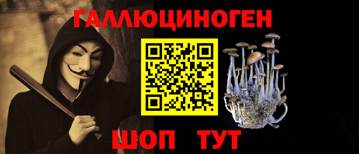 Псилоцибиновые грибы MAGIC MUSHROOMS  где купить наркотик  Алексин  Галлюциногенные грибы мицелий  Вход с VPN 
